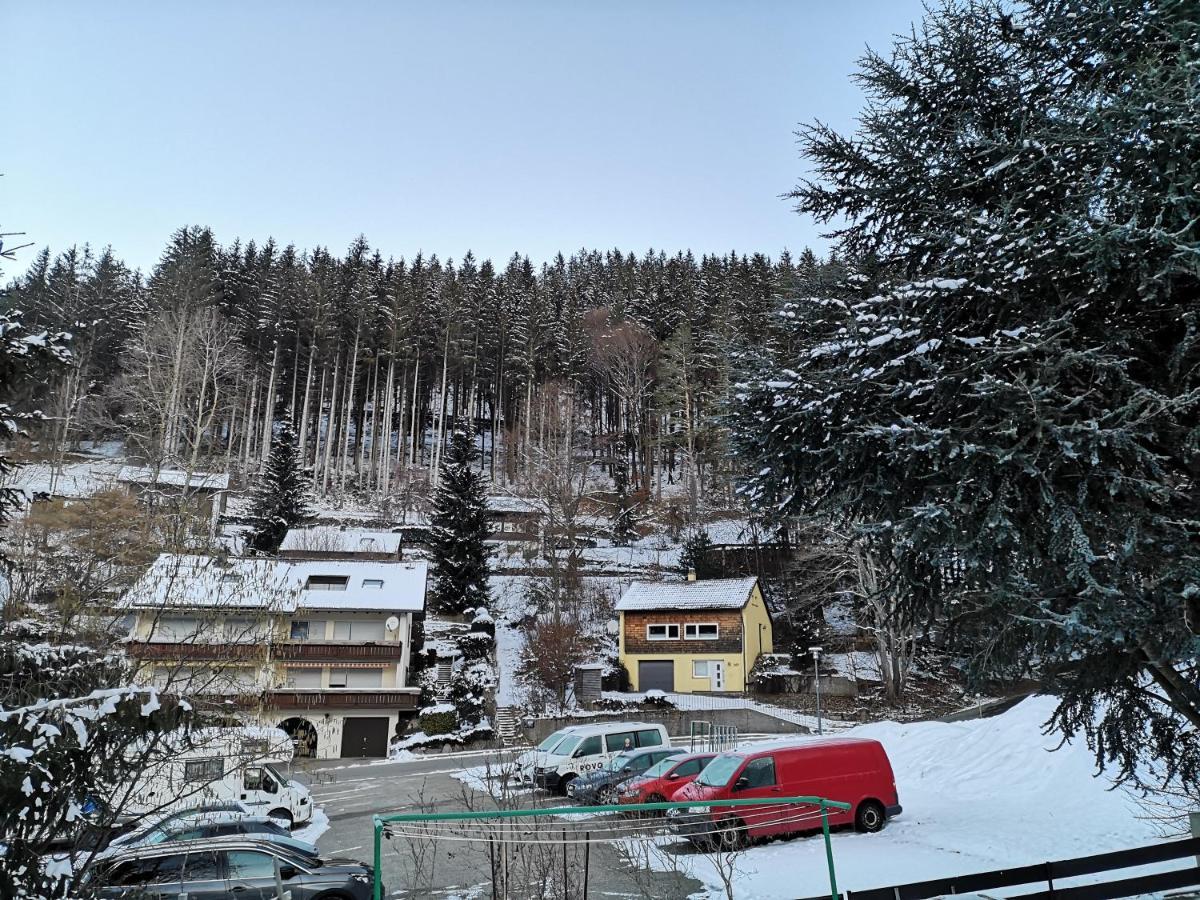 Apartament Ferien Am Wald Baiersbronn Zewnętrze zdjęcie